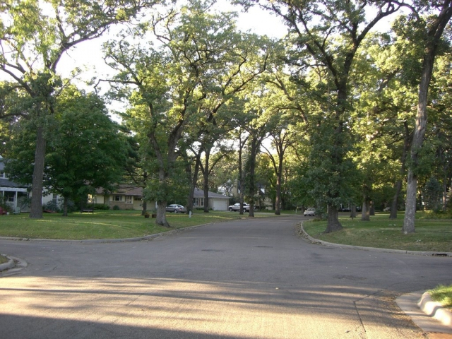 Oak Grove