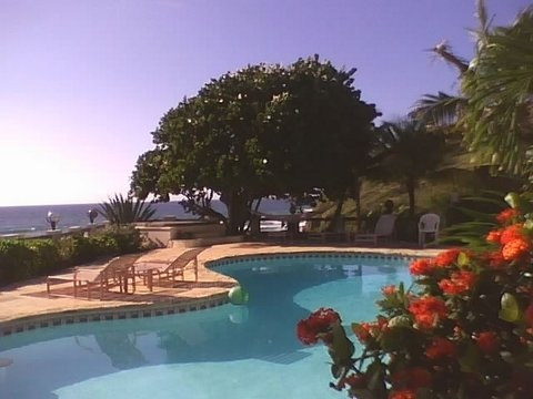 Daves Pool