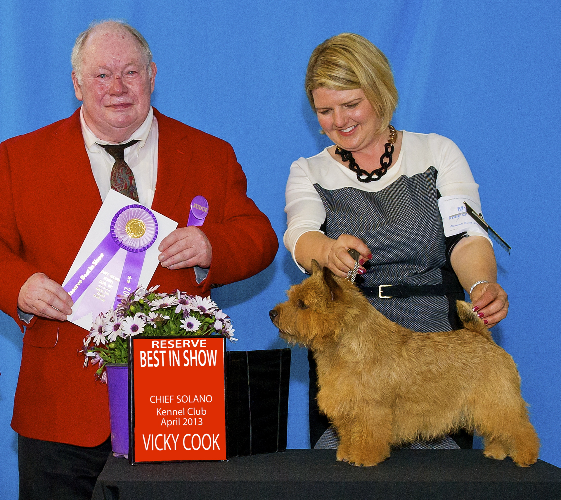 GCH Apollo